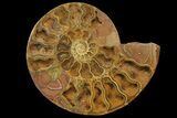 Orange, Crystal Filled, Cut Ammonite Fossil - Jurassic #168535-2